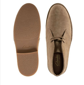 Clarks Desert Boot 2